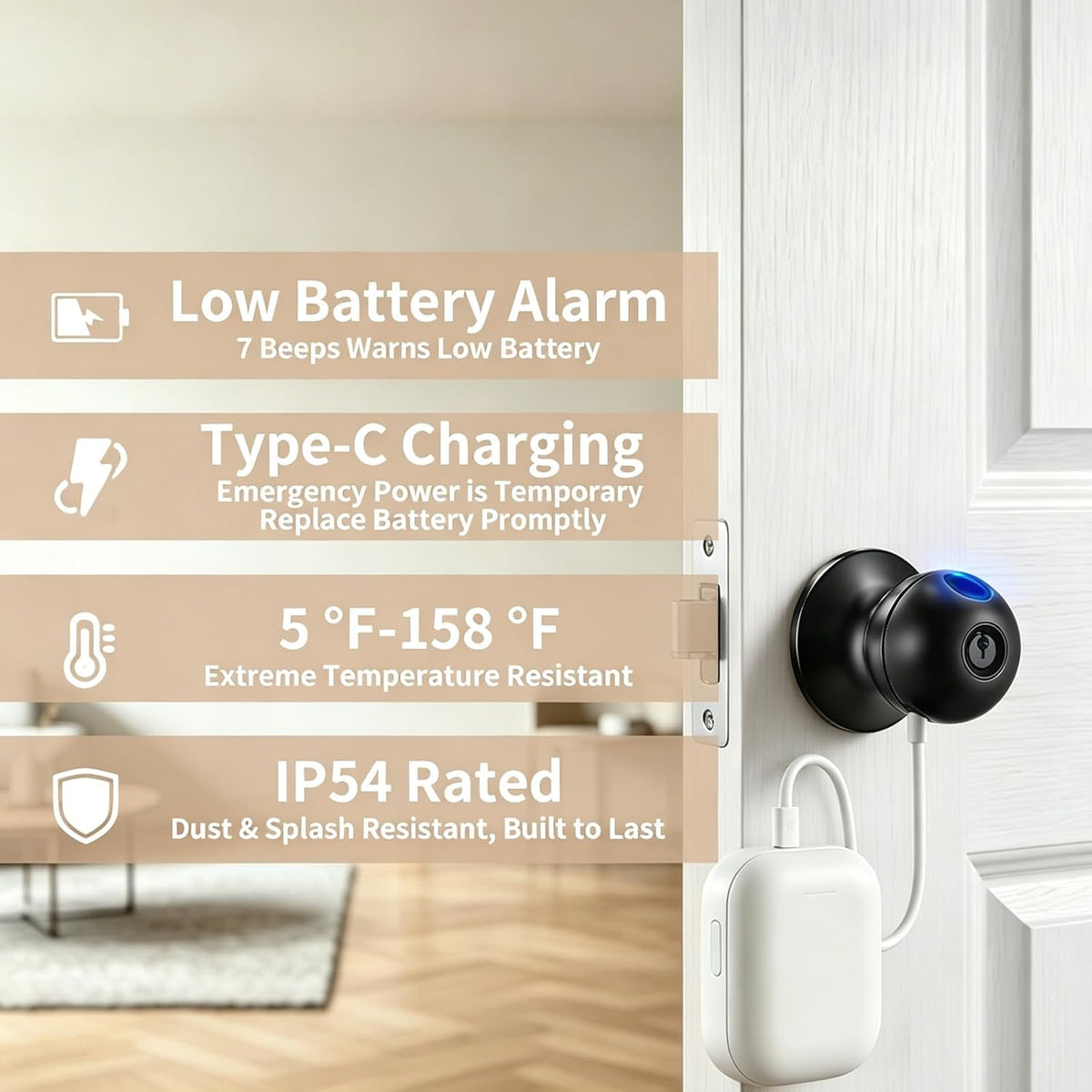 Smart door lock with low battery alarm, Type-C emergency power, temperature resistance and IP54 protection